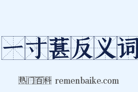 一寸葚反义词是什么意思的图片